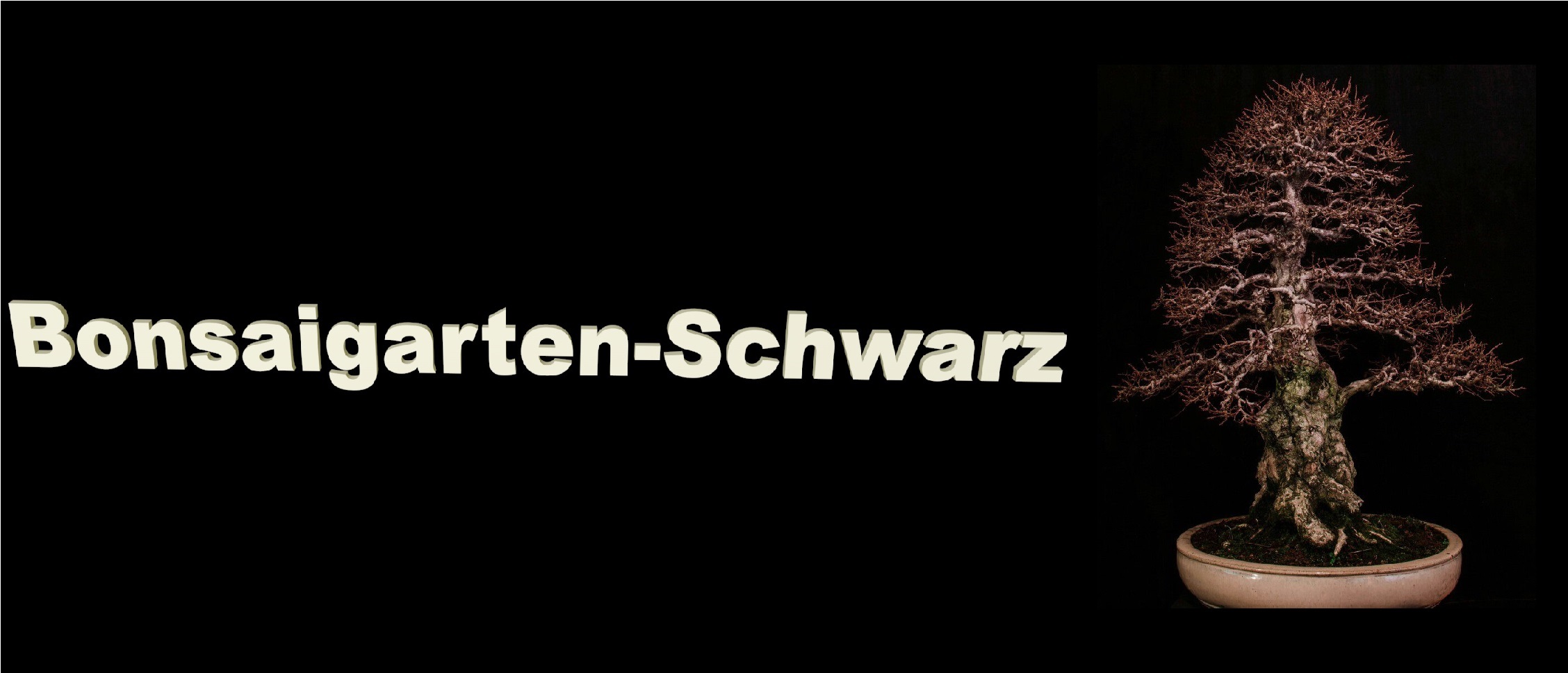 Bonsaigarten Schwarz-Logo