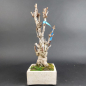 Preview: Bonsai - Ginkgo Biloba, Japan