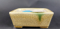 Preview: Bonsai - Tokoname Pot, Satomi