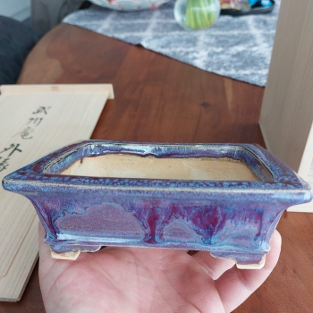Preview: Bushuan, Shigeru Fukuda, Fukushige, 5 Meisterwerke, Schalen-Set