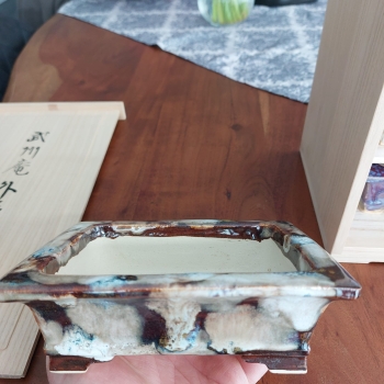 Bushuan, Shigeru Fukuda, Fukushige, 5 Meisterwerke, Schalen-Set