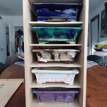 Preview: Bushuan, Shigeru Fukuda, Fukushige, 5 Meisterwerke, Schalen-Set