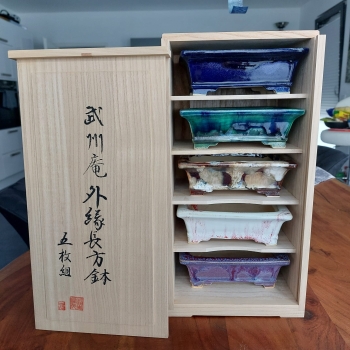 Bushuan, Shigeru Fukuda, Fukushige, 5 Meisterwerke, Schalen-Set