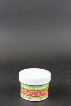 Bonsai Wundpaste Laubbaum 160g