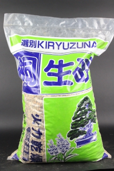 Bonsaierde Kiryu grob