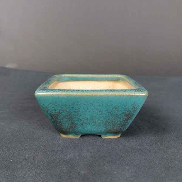 Bonsai - Tokoname Pot, Reiho