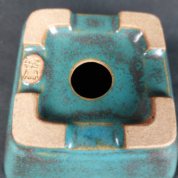 Bonsai - Tokoname Pot, Reiho