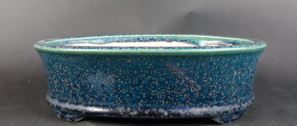 Bonsai - Tokoname Pot, Koyo