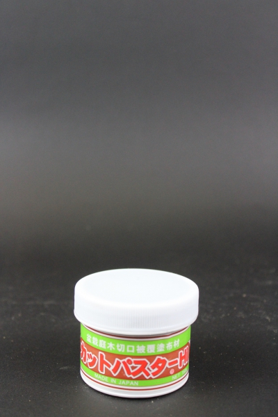 Bonsai Wundpaste Laubbaum 160g